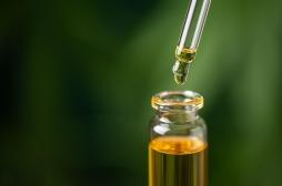 Le CBD peut-il vraiment ralentir Alzheimer ?