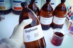 Glyphosate : l'étude qui renforce les craintes sur un risque de cancer 