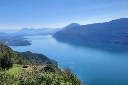 Baignade interdite en Savoie : quels sont les risques des cyanobactéries pour la santé ? 