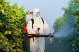 Pesticides : l'efficacité des protections des agriculteurs remise en question