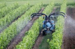 Pesticides : deux tumeurs cérébrales d'agriculteurs reconnues comme maladie professionnelle