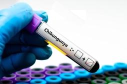 Chikungunya à La Réunion : pourquoi la vaccination change-t-elle de cap ?