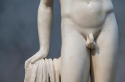 Pourquoi les testicules sont-ils situés à l'extérieur du corps ?