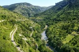 Les secrets de la Lozère, épargnée par l'épidémie de coronavirus