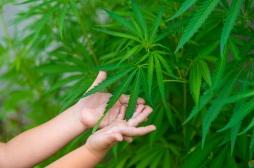 Bébé intoxiqué au cannabis : comment est-ce possible ? 