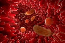 Asthme et allergies : la solution dans le microbiote ?
