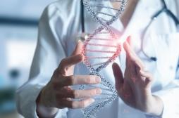 Une nouvelle maladie génétique qui touche les muscles, identifiée 