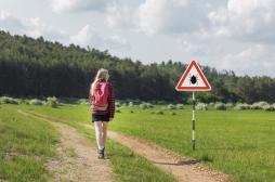 Encéphalite à tiques : quels sont les risques ?