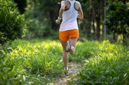 La course à pied compense les effets de la malbouffe sur le cerveau 