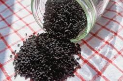 Cette épice aiderait à lutter contre l’obésité et le cholestérol