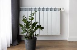 La température du domicile pourrait jouer sur les fonctions cognitives des seniors