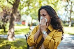 Allergies respiratoires : 