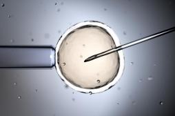 FIV : perdre du poids avant peut augmenter les chances de grossesse