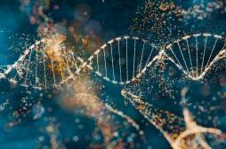 Un lien entre schizophrénie et ostéoporose ? 