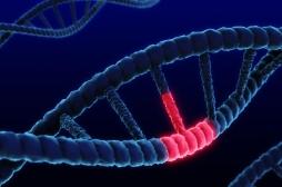 Une mutation génétique courante double le risque de démence chez les hommes 