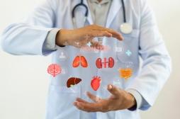 Vieillissement : quel âge ont vraiment vos organes ?