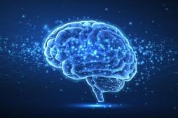 Alzheimer : un traitement non-pharmaceutique pourrait inverser le vieillissement du cerveau