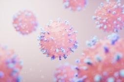 Malgré sa toxicité, ce parasite cérébral peut protéger votre organisme !