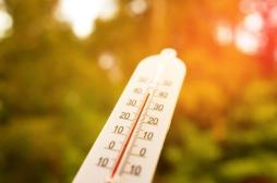 Changement climatique : vers des milliers de décès prématurés ?