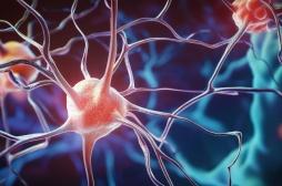 Sclérose en plaques : ces symptômes doivent alerter très tôt