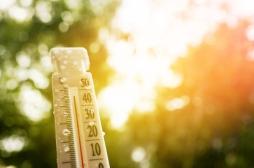 Canicule de mai : un impact particulièrement élevé chez les jeunes