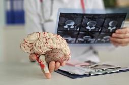 Alzheimer : ces cellules jusqu’ici peu étudiées ouvrent une nouvelle piste pour les patients