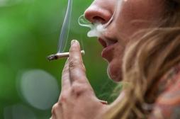 Cannabis au volant : l’étude qui tire la sonnette d’alarme