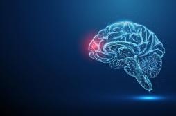 Comment le cerveau participe à sa réparation après un AVC ?