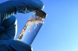 Salmonella : comment les microplastiques augmentent le risque d’intoxication alimentaire ?