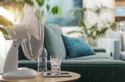 Pic de chaleur : comment garder sa maison au frais 