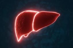 5 habitudes du quotidien qui mettent votre foie à rude épreuve