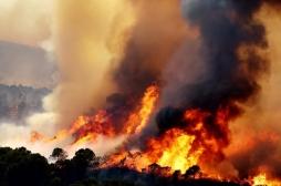 L’exposition répétée aux feux de forêt fait grimper le risque d’insuffisance cardiaque