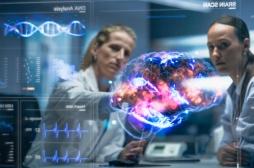 Cancer du cerveau : un jumeau numérique de la tumeur aide à trouver le bon traitement