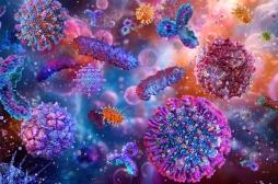 La résilience immunitaire, un facteur clé pour un vieillissement en bonne santé