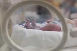 Méningite chez les nouveaux-nés : une technique pour désactiver l’agent pathogène chez la mère 