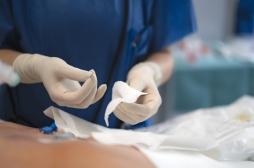 Plaies chroniques : un pansement à base de carapaces de crevettes pour mieux cicatriser ?