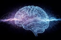 Pourquoi le cerveau reste plus fort que l’IA