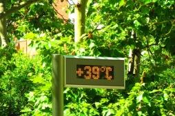 Il frappe de plus en plus en Europe : qu’est-ce que le stress thermique ?