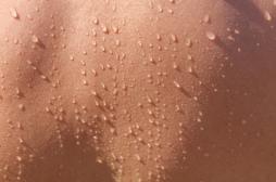 Ce que votre sueur révèle de votre état de santé