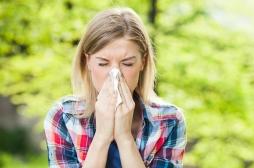 Allergie au pollen : comment bien se protéger