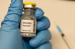 Paludisme : l’OMS approuve un vaccin et recommande de le déployer chez les enfants