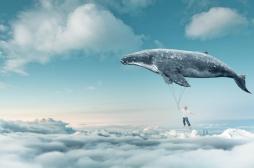 Qu’est-ce vos rêves disent de vous ?