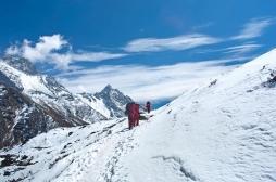 Les reins jouent un rôle crucial dans l'acclimatation à la haute altitude