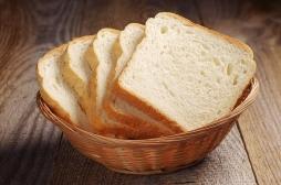 Pain de mie : un danger caché dans nos placards ?