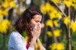 Pollens : 30 départements déjà dans le rouge !