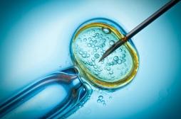 Fertilité : ce qui pourrait changer pour le don de gamètes 