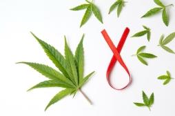 Le CBD, nouvelle arme inattendue contre le VIH ?
