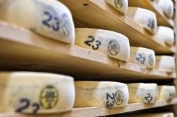 Salmonelle : des fromages contaminés de Morbier et Mont-d'Or ont tué 10 personnes entre 2015 et 2016