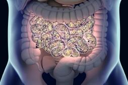 Bactéries intestinales : est-ce que l’hiver et les fêtes perturbent le microbiote ?
