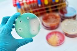 Antibiotiques : les bactéries multi-résistantes responsables de 33 000 morts en Europe 